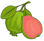 SIR farms Logo