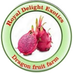 Royal Delight Exotics Dragon fruit
