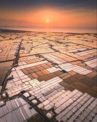 Velan Salt Private Limited