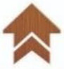 Rion Industries Private Limited Logo