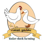Vk duck farm