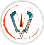 VedaVista International Private Limited