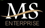 MS enterprise