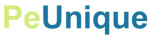PeUnique Payment Solution Pvt. Ltd.Financial service