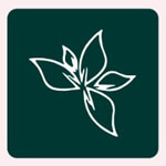 Maa Padmalaya textiles