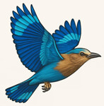 Indian roller exim