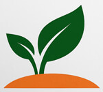 Maa karni logistics Pvt. Ltd.