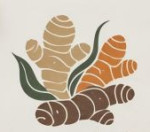 Curcuma and Zingiber Naturals