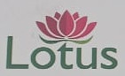 Lotus India
