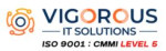 Vigorous IT Solutions Pvt Ltd