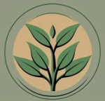 Shree Shyam Trading Company