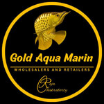 Gold Aqua Marin