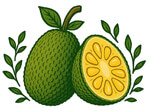 Jackfruit Shop Coimbatore