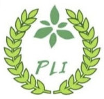 pravasi lime industry