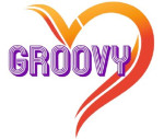 Groovy Multi Services Private Limited