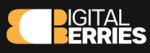 DIGIBERIES DIGITAL BERRIES PRIVATE LIMITED