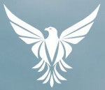 Zenith Export and Import