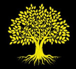 Wishotel Hotels Private Limited