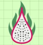 Arvind dragon fruit meerut