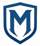 METASAR Ventures Pvt Ltd