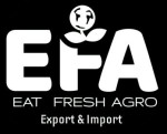 EFA Export & Import