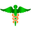 Paul Medical Systems Logo