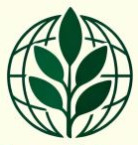 Moringa Essence International