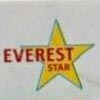 Everest Sanitation (india) Logo