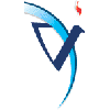 Vinayak Infotech Logo