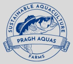Pragh Aquas LLP