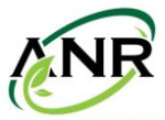 ANR Agro Foods