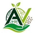 AVENZO TRADING FZC LLC