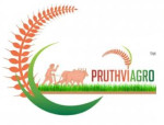 Pruthvi Agro Export Pvt. Ltd.