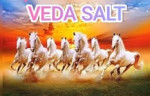 Veda salt trading and exports
