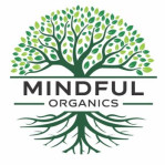 chiffons heureux india