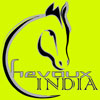 Chevaux India Incorporation Logo
