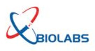 Ec Biolabs