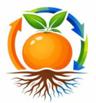 Orange Root Global Naturals