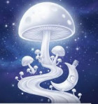 Moonshinemilkymushrooms