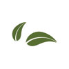 Aurva Naturals Logo