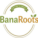BanaRoots Food Products
