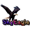 Sky Eagle Power Technology