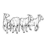 Reyansh Livestock & Farms Logo