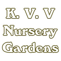 K. V. V Nursery Gardens Logo