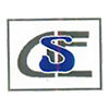 D S Enterprises Logo