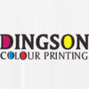 ShenZhen Dingson Printing Co., Ltd.