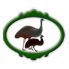 Alps Emu Farm & Hatcheries