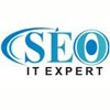 SEO IT Expert Logo