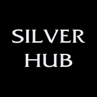 Silver Hub Logo