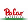 Polar International Logo